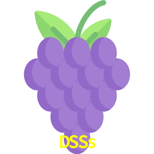 DSSs
