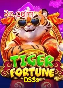 DSSs